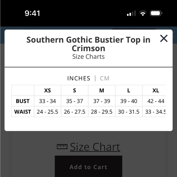 Southern Gothic Bustier - Picture 4 of 6